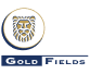 Giá cổ phiếu #GFI (#GFI), Biểu đồ trực tiếp & Phân tích | Giao dịch #GFI | LiteFinance